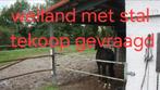 Weiland tekoop gevraagd drenthe groningen, Dieren en Toebehoren, Stalling en Weidegang