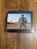 Cd's Pink Floyd – Delicate Sound Of Thunder, Ophalen of Verzenden, Zo goed als nieuw, Progressive