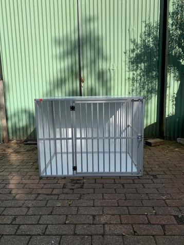 Hundos kennel beschikbaar voor biedingen