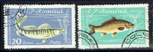Roemenië 1960 Vissen 2x, Postzegels en Munten, Postzegels | Europa | Overig, Gestempeld, Overige landen, Ophalen of Verzenden