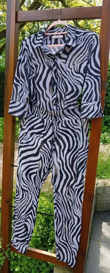Studio Anneloes Set blouse M broek L zebra animal motief  beschikbaar voor biedingen