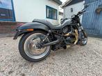Dikke HD V-Rod Nightrod, Motoren, Motoren | Harley-Davidson, 2 cilinders, Chopper, 1130 cc, Particulier