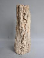 Schitterend stuk versteend hout - 20 miljoen jaar oud, Ophalen of Verzenden, Overige typen