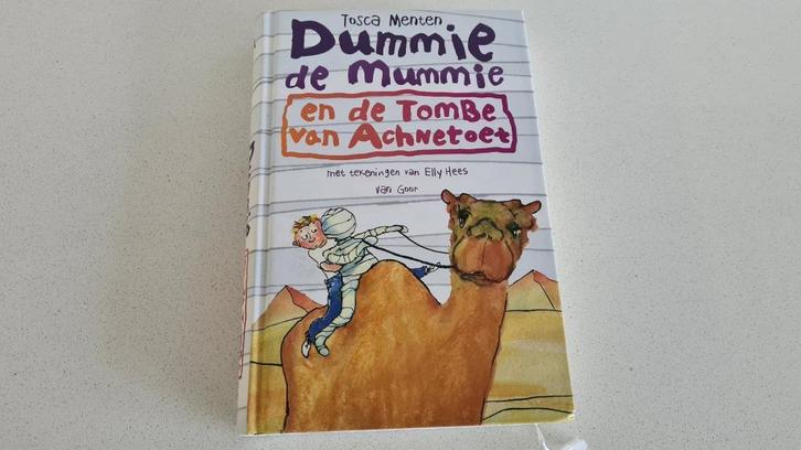 Boek Dummie de mummie en de tombe van Achnetoet, Boeken, Kinderboeken | Jeugd | onder 10 jaar, Zo goed als nieuw, Fictie algemeen