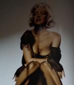 FANTASY ART BOOKS / (kunst)lederen Hardcover / Ero - Pin-up, Eén stripboek, Ophalen of Verzenden, Zo goed als nieuw