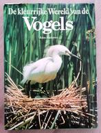 De kleurrijke wereld van de vogels – John Andrews., Boeken, Dieren en Huisdieren, Ophalen of Verzenden, Vogels, Zo goed als nieuw