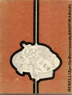 BOEKEN BENELLI MOTOR SCOOTER BROMFIETS, Ophalen of Verzenden, Overige merken