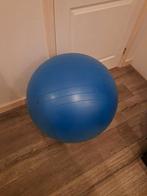Fitness bal blauw, Ophalen of Verzenden, Rug, Zo goed als nieuw, Fitnessbal