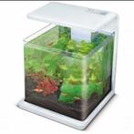 Superfish wave 30 aquarium met vissen, Dieren en Toebehoren, Ophalen, Gebruikt, Gevuld zoetwateraquarium