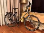 Koga F3 8.0 Alfine 11 beltdrive 56cm, Ophalen, 28 inch, 10 tot 15 versnellingen, 56 cm of meer