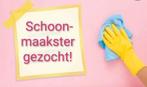 Schoonmaaktopper M/V gezocht, Vanaf 1 jaar, Overige niveaus, Variabele uren, Geschikt als bijbaan