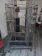 Grote vogelkooi voor witkuifcacatoe., Ophalen, Zo goed als nieuw, Metaal, Vogelkooi