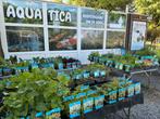 Leuk assortiment tuinbeelden, Ophalen, Nieuw