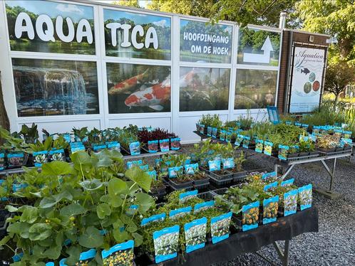 Leuk assortiment tuinbeelden, Tuin en Terras, Tuinbeelden, Nieuw, Ophalen