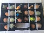25 Exclusieve Ca. 40 Jaar Oude Grote Kerstballen in Box !, Ophalen of Verzenden, Gebruikt