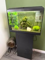 Aqarium, Dieren en Toebehoren, Vissen | Aquaria en Toebehoren, Ophalen, Zo goed als nieuw, Leeg aquarium