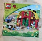 Lego boekje duplo., Ophalen of Verzenden, Gebruikt, Losse stenen, Duplo