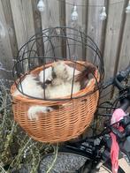 Fietsmand Basil pluto, Dieren en Toebehoren, Ophalen of Verzenden, Gebruikt, Riet