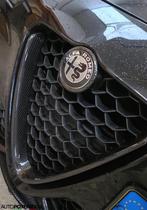 Alfa Romeo Giulia 2.0 T AWD Veloce Q4 360PK 19" carbon leder, Auto's, Automaat, 745 kg, Euro 6, 4 cilinders