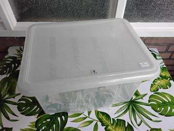 Diverse kratten en bakken en mandjes, ( vanaf € 0,50) beschikbaar voor biedingen