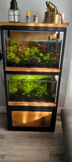 Aquarium kasten opmaat., Ophalen of Verzenden, Plant(en), Steen of Hout