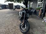KTM 890 Duke ABS QUICKSHIFT|POWERPARTS (bj 2021), Meer dan 35 kW, Overig, 889 cc, Bedrijf