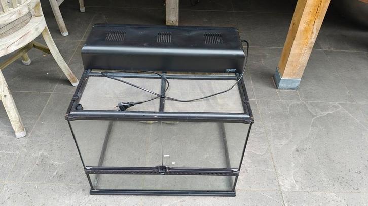 Exo terra 60x45x45cm met lichtkap, Dieren en Toebehoren, Reptielen en Amfibieën | Toebehoren, Zo goed als nieuw, Ophalen