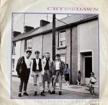 CrowdedHouse/RobertCray/BeverlyCraven/Brendan Croker/Darling beschikbaar voor biedingen