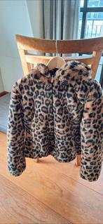 Mooie warme reversable jas M, Ophalen of Verzenden, Zo goed als nieuw, Maat 38/40 (M), Jack