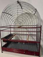 Picolet kooi nieuw 23 draads purper hart, Meerdere dieren