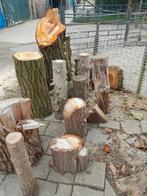 Spijkerblok ,boomstam,spijkerslaan,pilaar, Tuin en Terras, Haardhout, Ophalen of Verzenden, Overige houtsoorten, Blokken