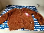 Vest nieuw, Kinderen en Baby's, Kinderkleding | Maat 104, Ophalen of Verzenden, Nieuw, Meisje, Trui of Vest