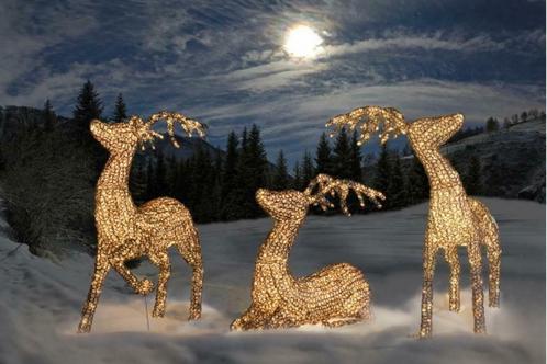 🎄Exclusief Rendierenkoppel In Glasoptiek 1200 Led's IP44🎄, Diversen, Kerst, Nieuw, Ophalen of Verzenden