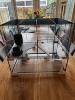 Hamsterkooi 59.5x39x52.5 cm. Zwart en transparant, Dieren en Toebehoren, Kooi, Minder dan 75 cm, Zo goed als nieuw, Muis