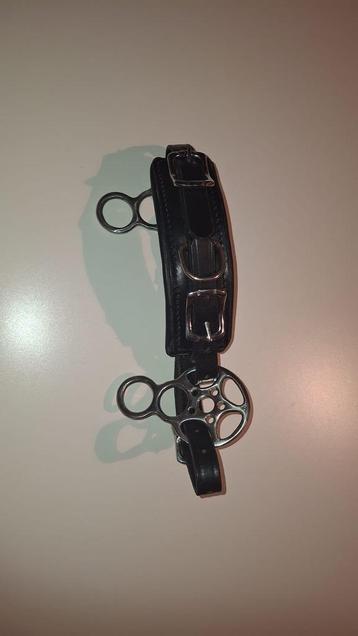 Hackamore (mini)shetlander beschikbaar voor biedingen