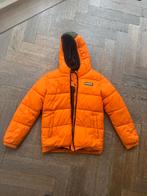 Winterjas jongen maat 152 - Raizzed, Gebruikt, Ophalen of Verzenden, Raizzed, Jongen