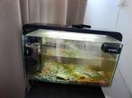 Home 25 superfish aquarium, Dieren en Toebehoren, Vissen | Aquaria en Toebehoren, Ophalen, Zo goed als nieuw, Leeg aquarium