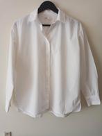 36/38 mooie blouse wit met rondingen 100% katoen Pull&Bear, Kleding | Dames, Blouses en Tunieken, Wit, Ophalen of Verzenden, Zo goed als nieuw