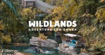 Ticket Wildlands t/m 31 juli 2025 beschikbaar voor biedingen