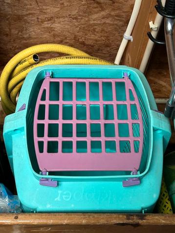 Katten reismand Skippie beschikbaar voor biedingen