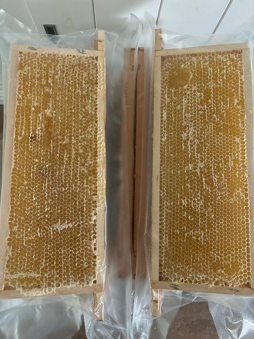 Uitgebouwde honingramen, Dieren en Toebehoren, Insecten en Spinnen, Bijen