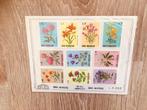 postzegels San Marino compleet bloemen motief in verpakking, Postzegels en Munten, Postzegels | Volle albums en Verzamelingen