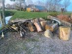 Wilg gekloofd in bigbag los gestort, Tuin en Terras, Haardhout, 6 m³ of meer, Ophalen of Verzenden, Overige houtsoorten, Blokken