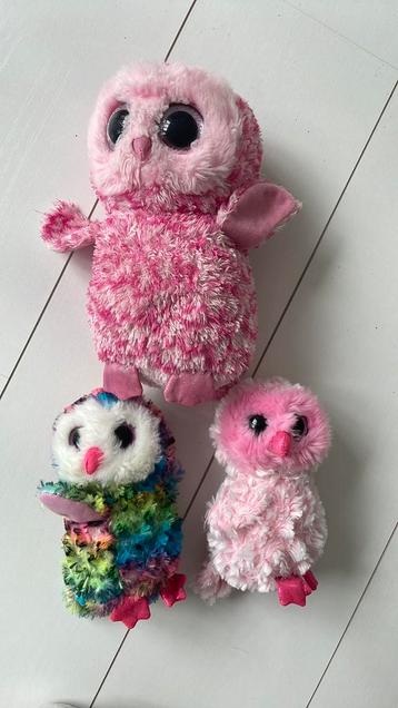 Ty beanie middel en groot uilen beschikbaar voor biedingen