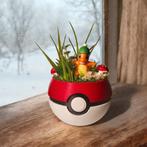 Charmander Pokémon Diorama, Ophalen of Verzenden, Nieuw