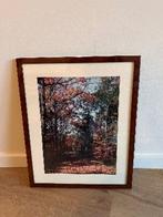 Fotolijst met herfst boslandschap, Ophalen, Minder dan 50 cm, 50 tot 75 cm, Zo goed als nieuw
