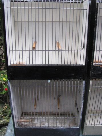 transport kooitjes beschikbaar voor biedingen