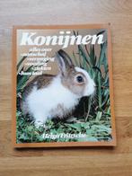 Konijnen - Helga Fritzsche, Ophalen of Verzenden, Zo goed als nieuw