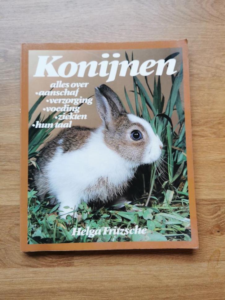 Konijnen - Helga Fritzsche, Boeken, Dieren en Huisdieren, Zo goed als nieuw, Ophalen of Verzenden