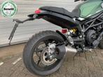 BENELLI LEONCINO 800 DEMO KORTING (bj 2025), Motoren, Motoren | Benelli, 2 cilinders, Motorrijbewijs A, Bedrijf, Onbekend